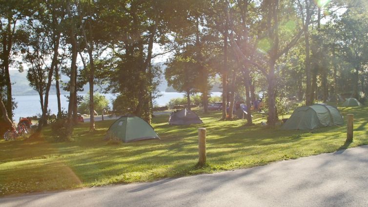 tents-at-sallochy-campsite