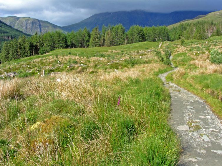 Approaching-Glen-Nevis