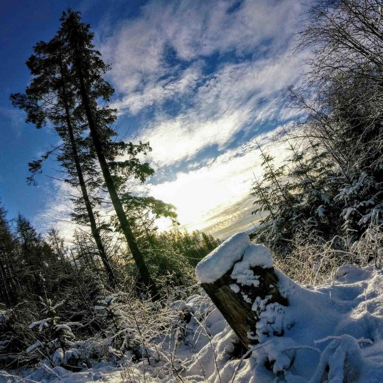 waymarker-covered-in-snow-in-garadhban