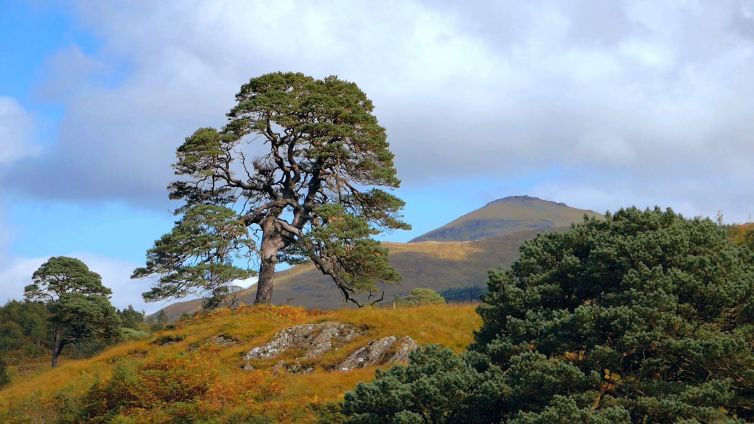 glen-falloch