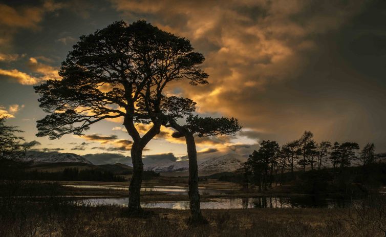 loch-tulla