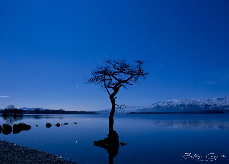 lone-tree-at-night-milarrochy