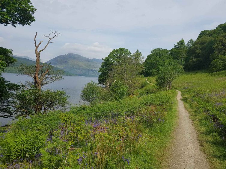 Rowardennan-to-Inversnaid-section