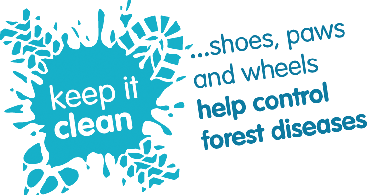 keep-it-clean-graphic-2 keep-it-clean-logo