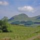 dumgoyne-hill