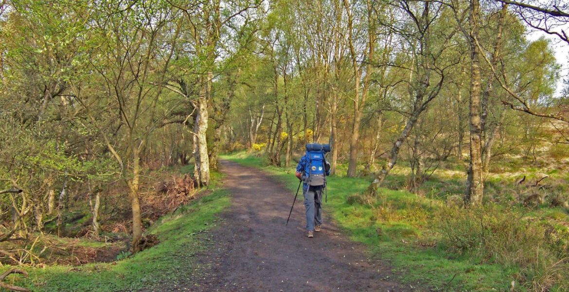 walking-through-Mugdock-park