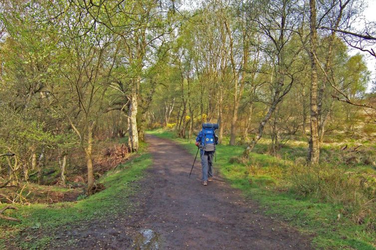 walking-through-Mugdock-park