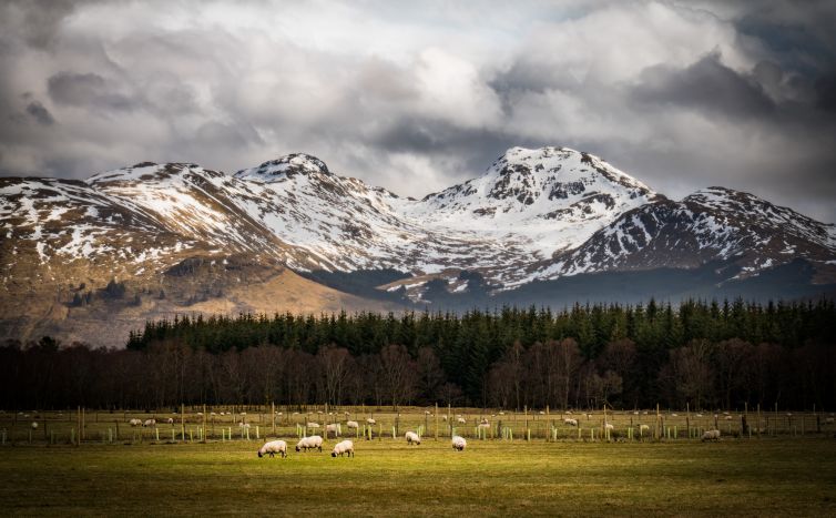 auchtertyre-farm