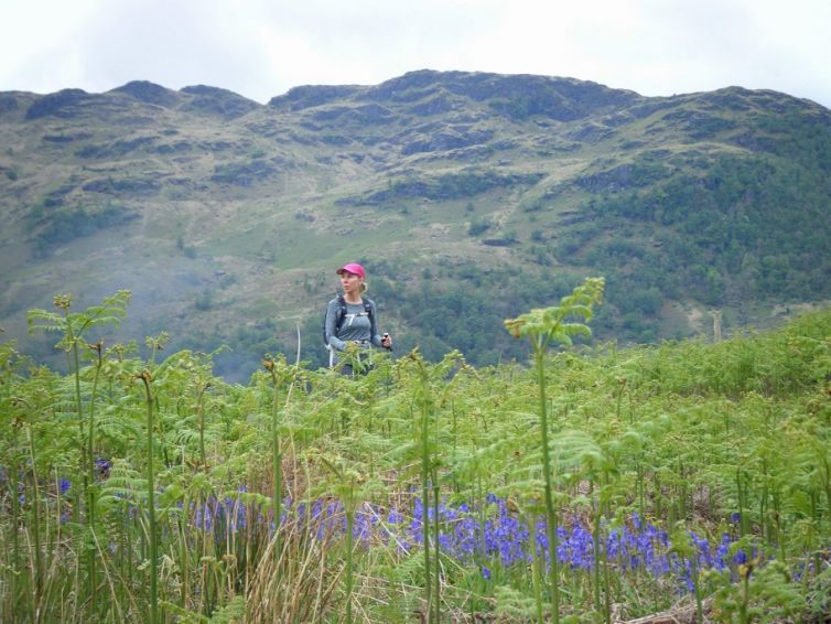 walking-in-bracken-and-bluebells