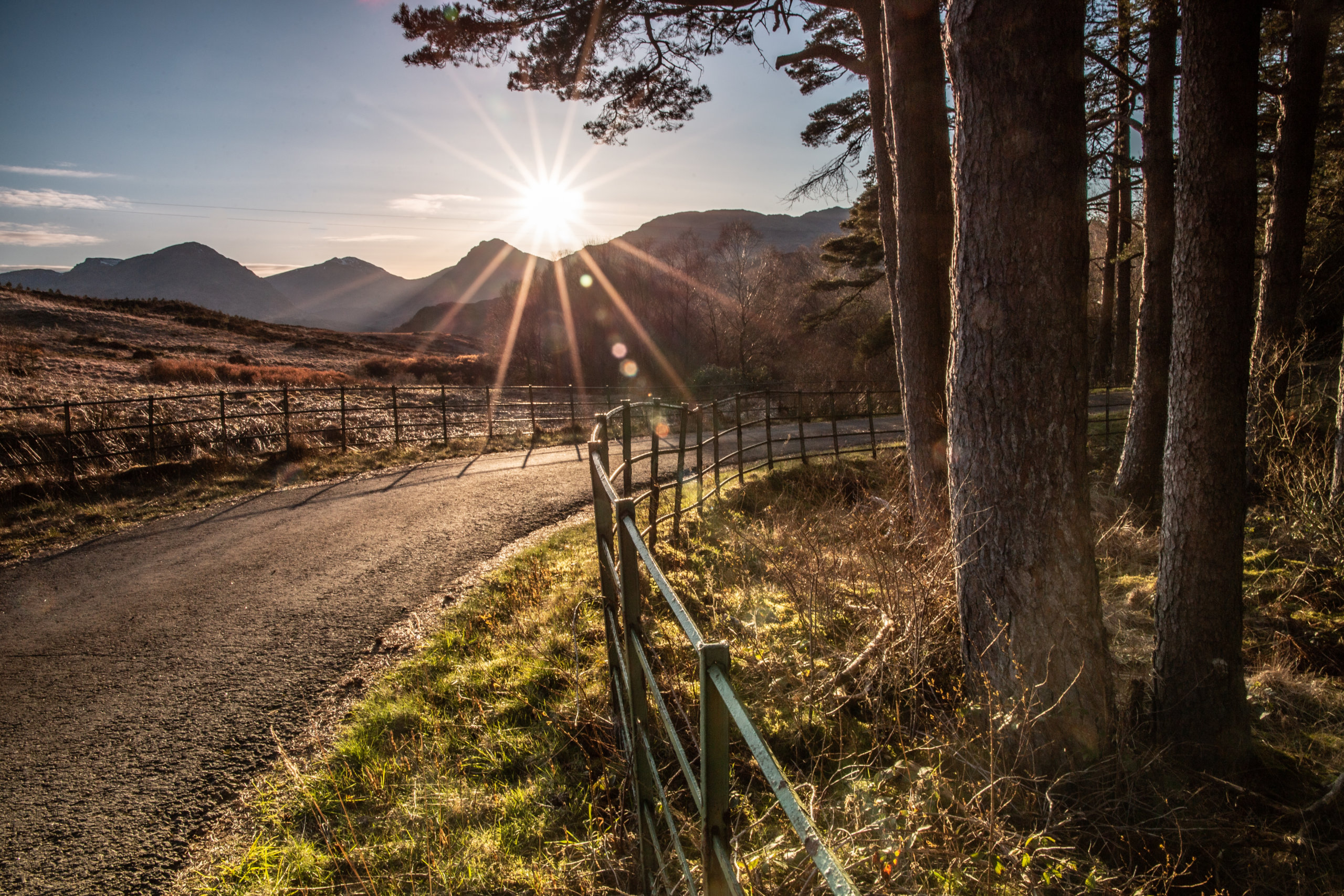 The Wee Yellow Caravan - West Highland Way 