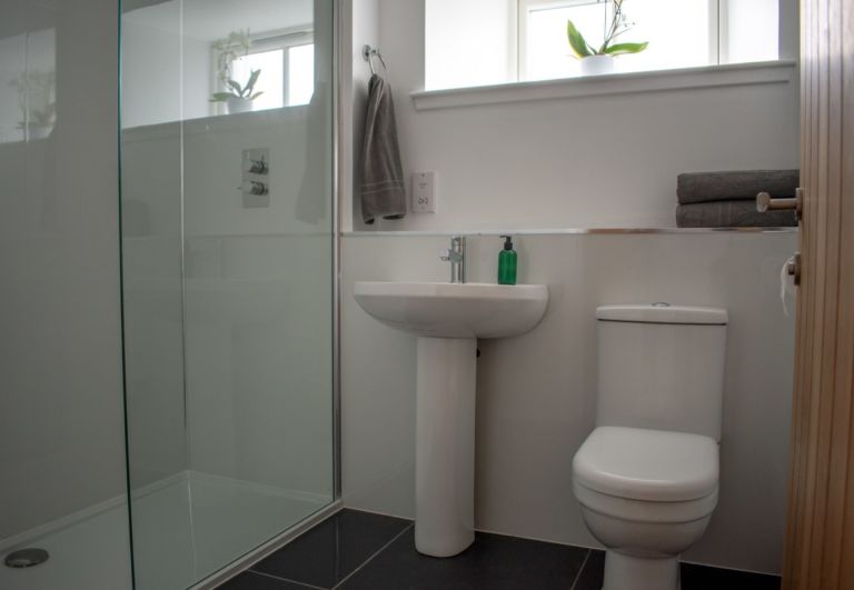 DSC 0450 1157x800 768x531