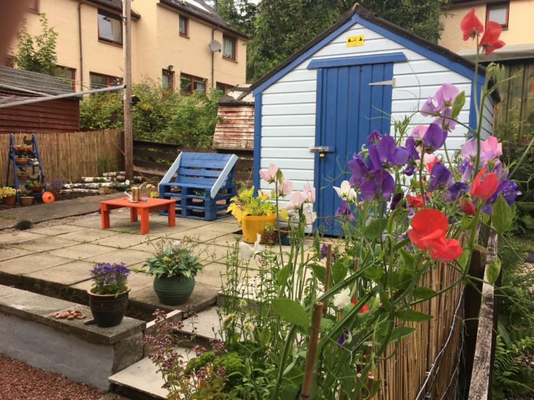 sweet pea 4mp 768x576