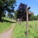 Signpost at edge of Carbeth