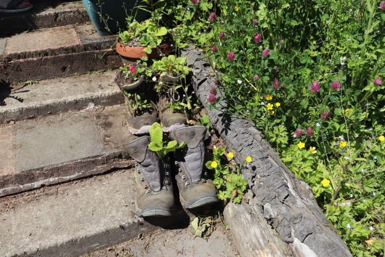 Old walking boots at Carbeth