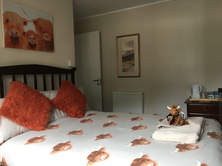 highland coo room.msg  768x576