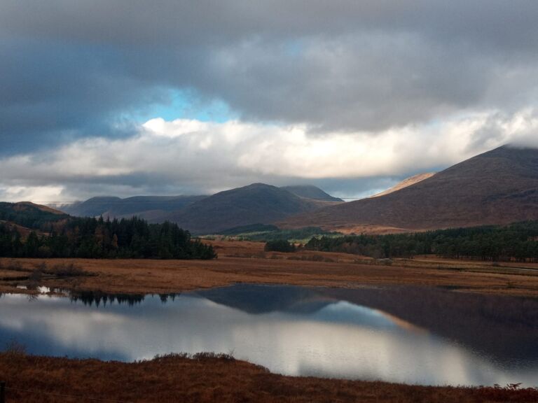 WhatsApp Image 2022 11 16 at 15.48.04nice 768x576