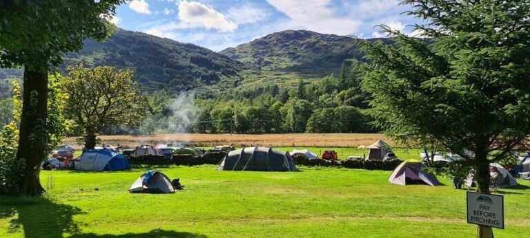 received 177144781383156 768x346