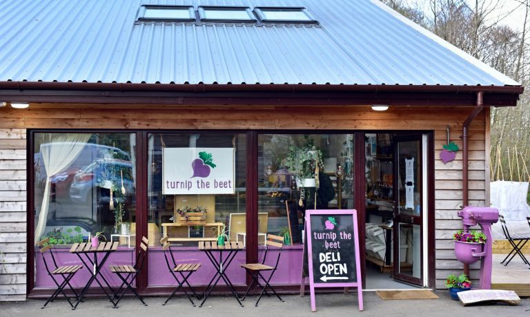 Turnipthebeet030 edited 768x459