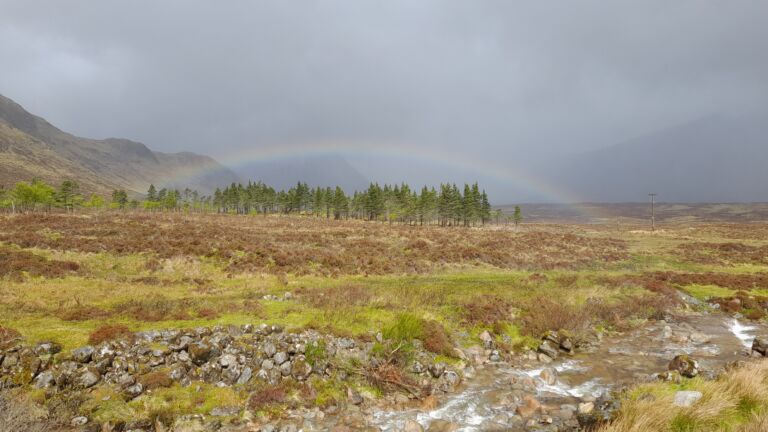 20220513 094627 768x432