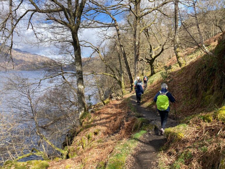 IMG 20230411 WA0010 768x576