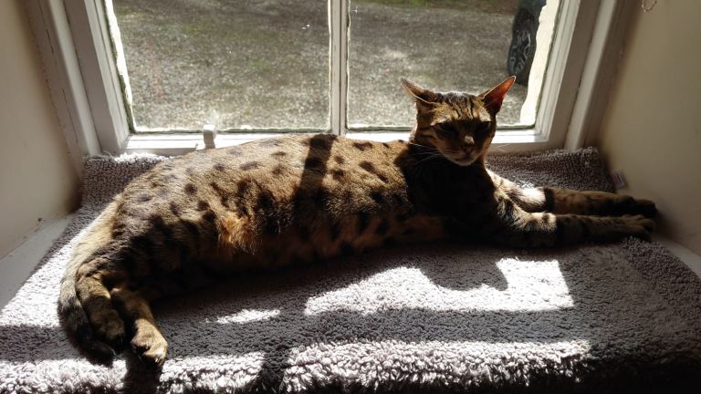 8bff3c01 cb2c 4603 b758 44337200ccc5 768x432