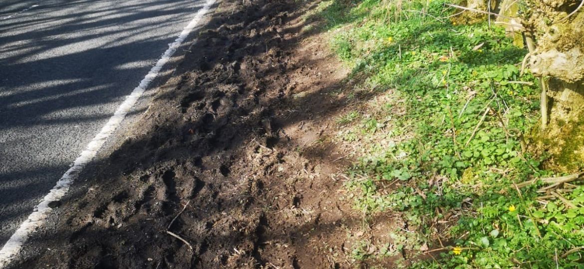 Muddy footway along side of road