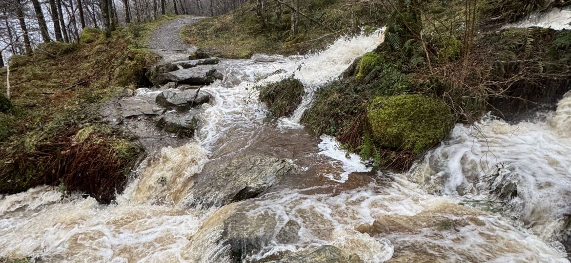 Flooding