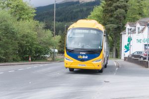 Yellow bus on road with trees behind