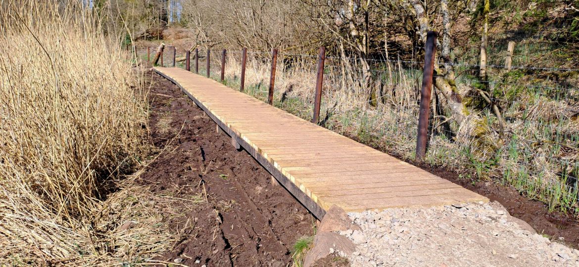 Section of boardwalk on the West Highland Way