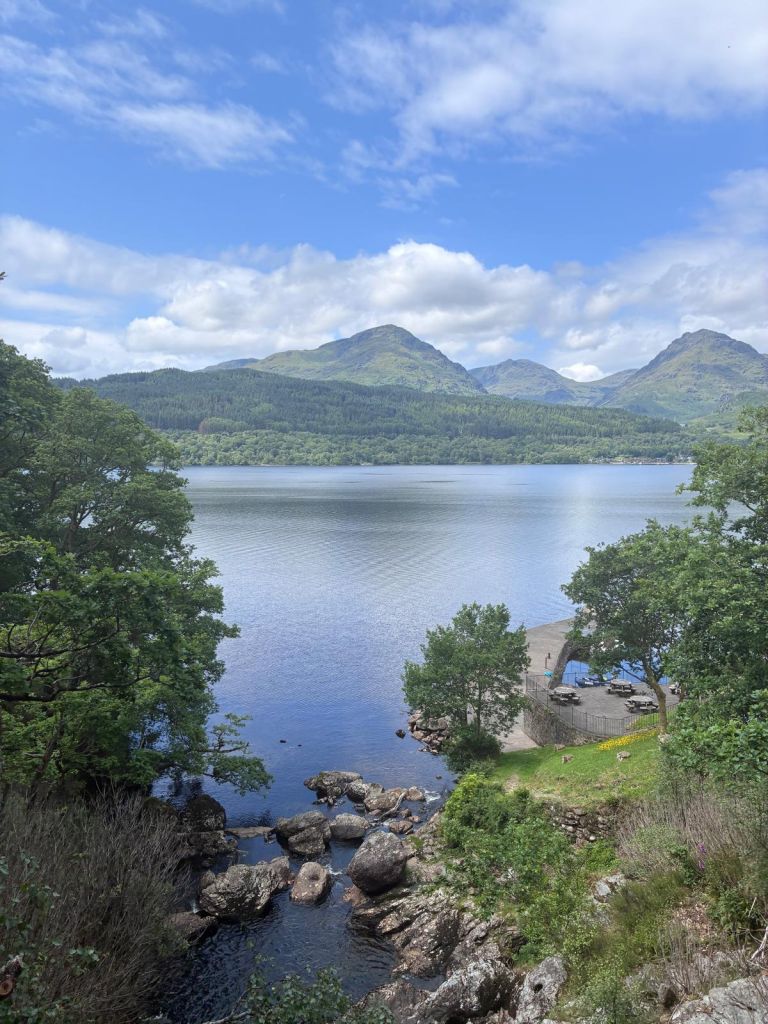 00000167 PHOTO 2025 06 20 06 55 55 768x1024