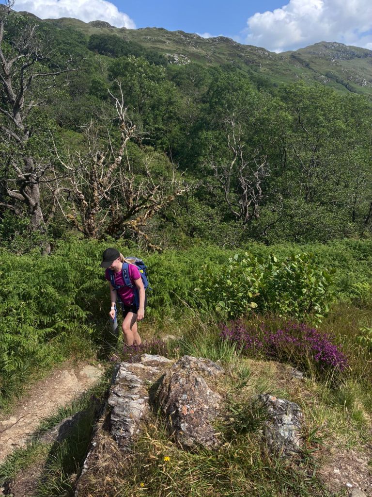 00000207 PHOTO 2025 06 20 17 49 00 768x1024