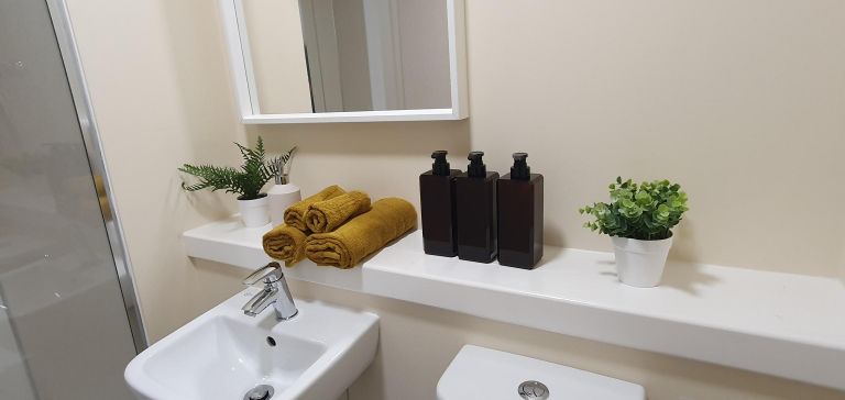 20250912 112054 768x364