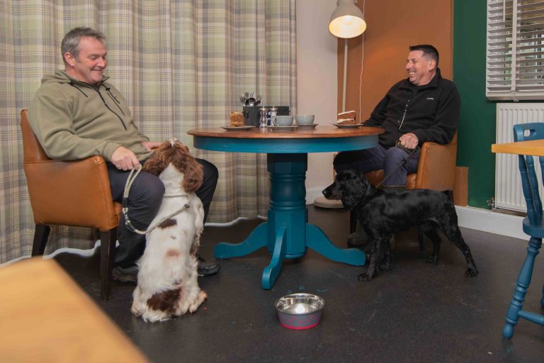 doghouse 9453 768x512