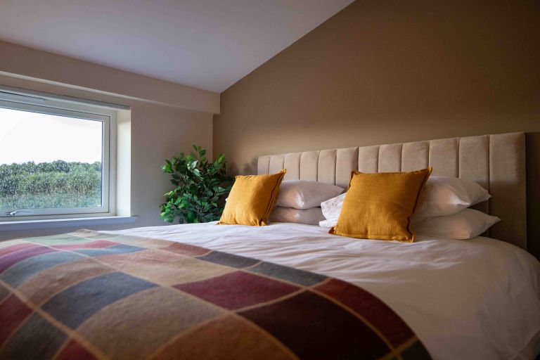 looking to stay 9112 768x512