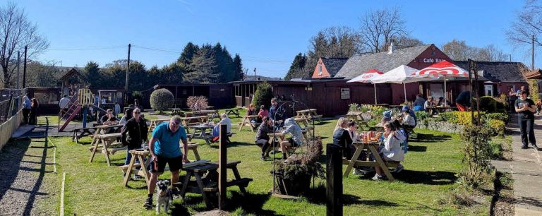 garden photo 768x306