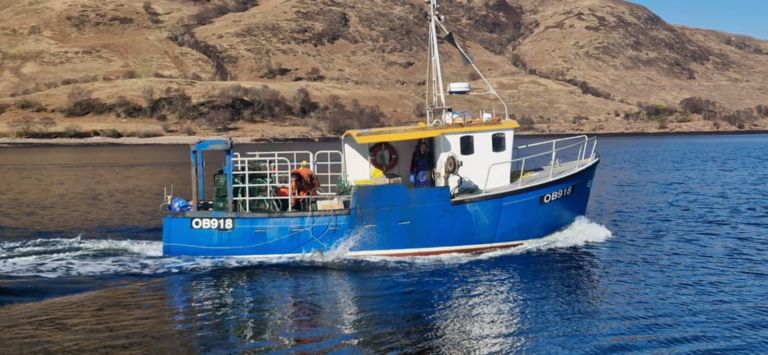 kathleen m 1 768x355